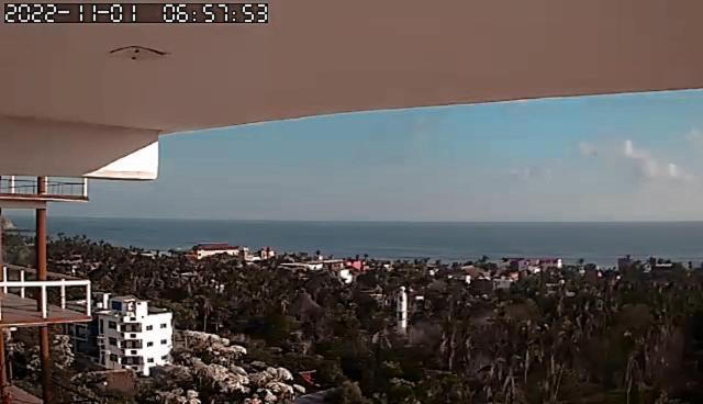 Hotel Punta Del Sol زيبوليت المظهر الخارجي الصورة
